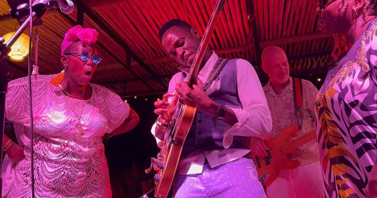 Live music under the indigenous tree canopy
